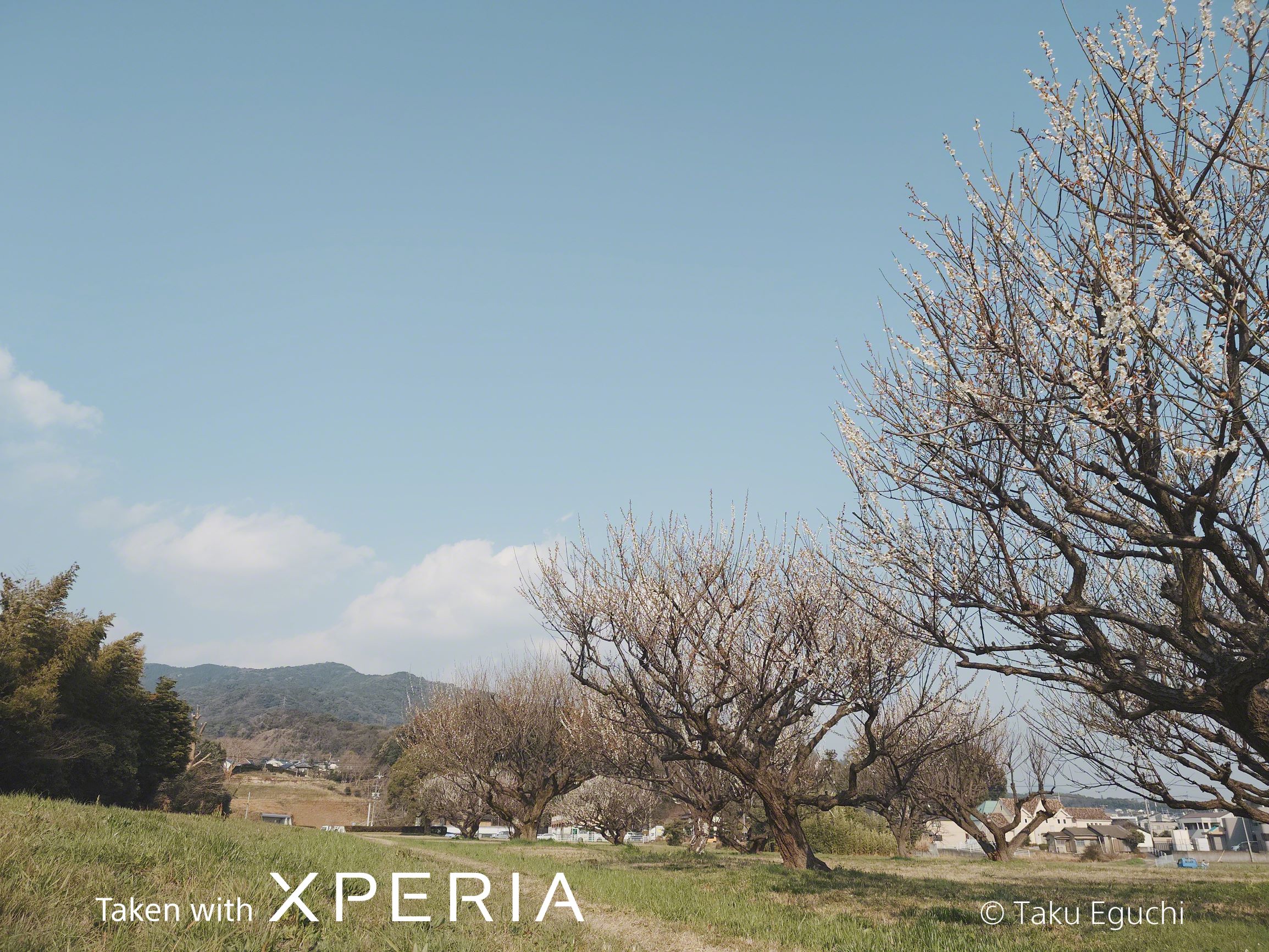 CreativeLook Instant 24mm